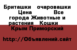 Бриташки - очаровашки.  › Цена ­ 3 000 - Все города Животные и растения » Кошки   . Крым,Приморский